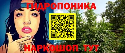 PSILOCYBIN Абакан