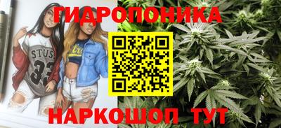 мдпв Абакан