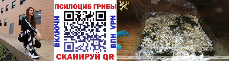 Псилоцибиновые грибы мицелий  площадка формула  Анжеро-Судженск 