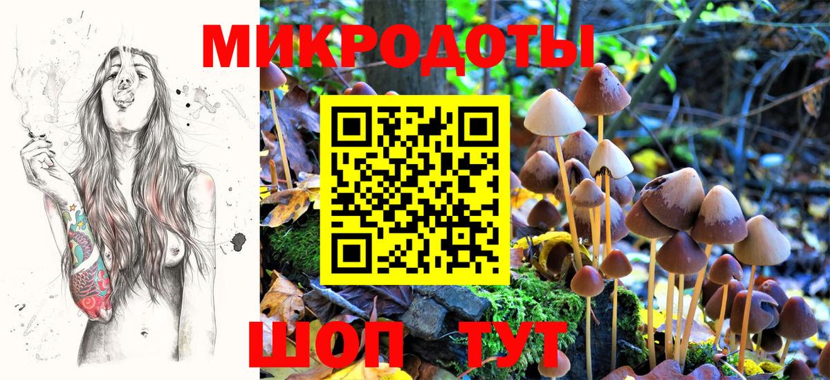 Анжеро-Судженск  Галлюциногенные грибы мухоморы  Галлюциногенные грибы GOLDEN TEACHER  Вход с VPN 