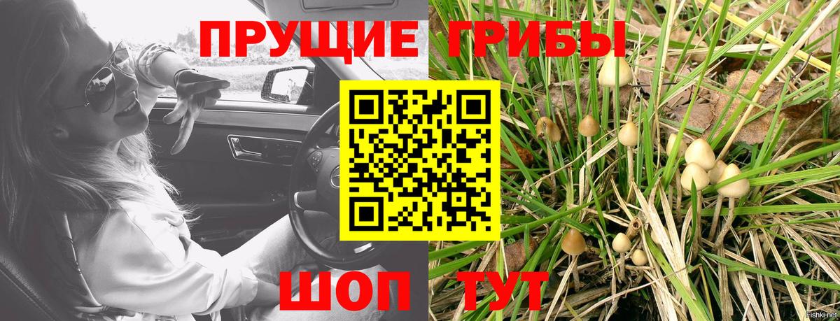 Галлюциногенные грибы GOLDEN TEACHER Анжеро-Судженск