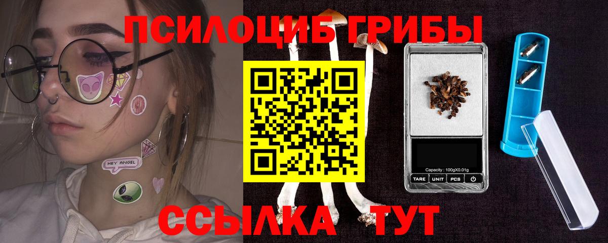Галлюциногенные грибы Cubensis Анжеро-Судженск
