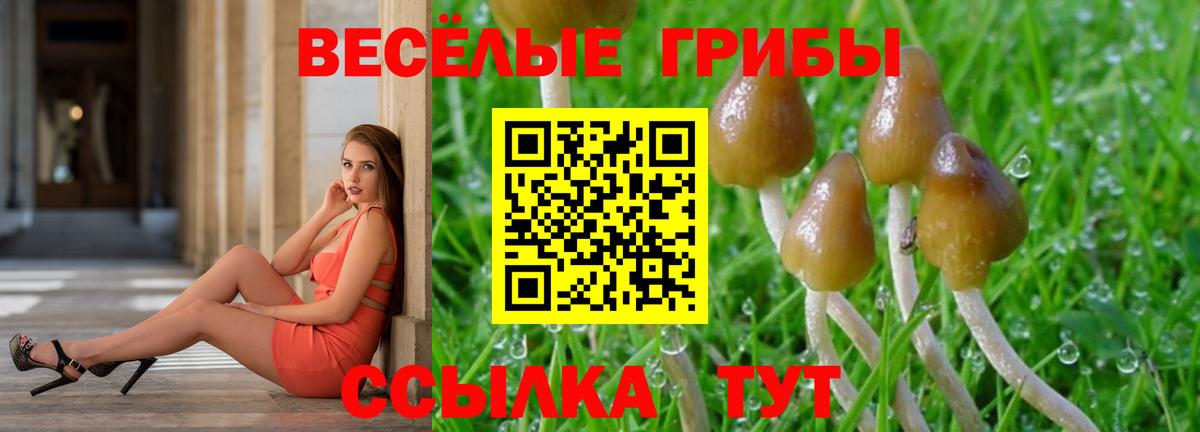 Галлюциногенные грибы ЛСД  Галлюциногенные грибы MAGIC MUSHROOMS  где купить наркоту  Вход с VPN  Анжеро-Судженск 