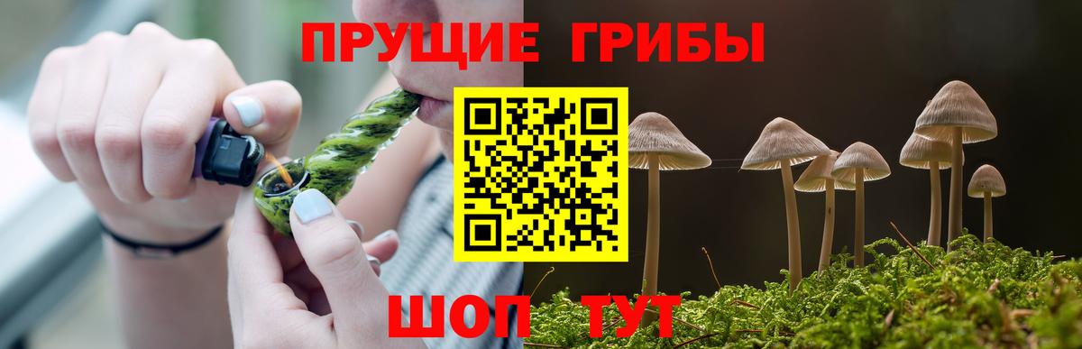 Галлюциногенные грибы Psilocybe  Псилоцибиновые грибы мухоморы  Анжеро-Судженск 